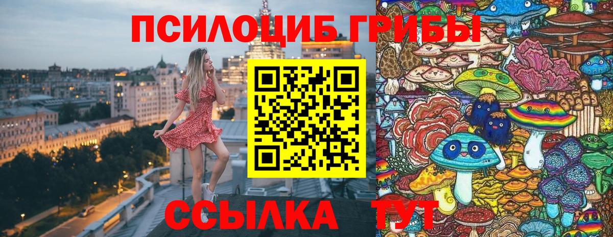 Гагарин  Псилоцибиновые грибы MAGIC MUSHROOMS  Галлюциногенные грибы GOLDEN TEACHER  Вход с VPN 