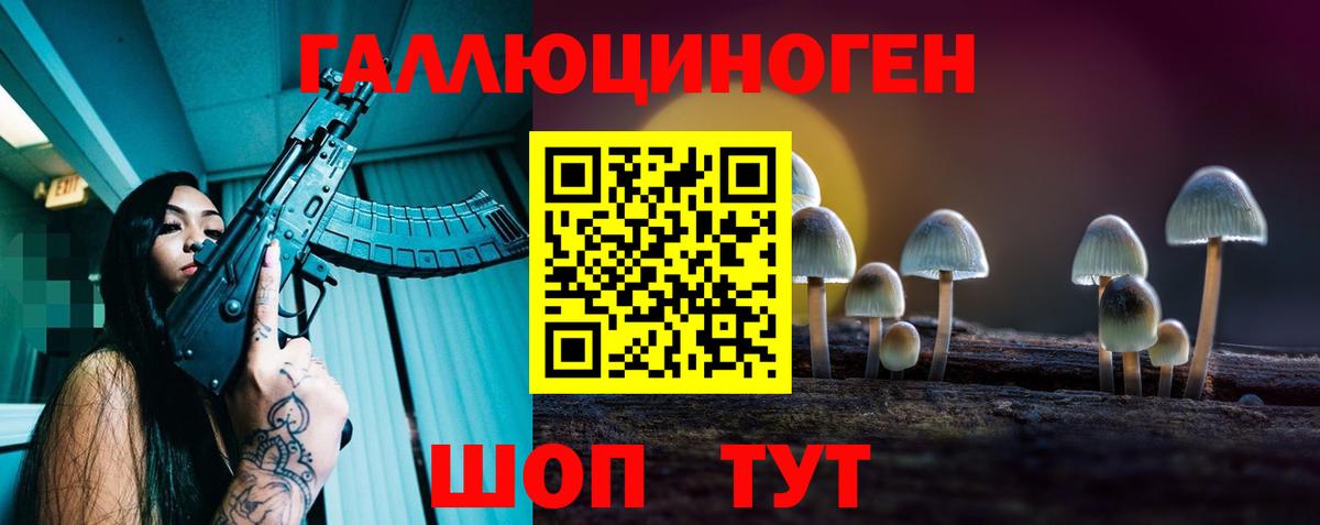 Псилоцибиновые грибы мицелий Гагарин